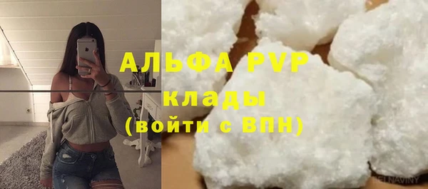 твердый Богданович