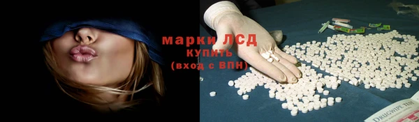 твердый Богданович