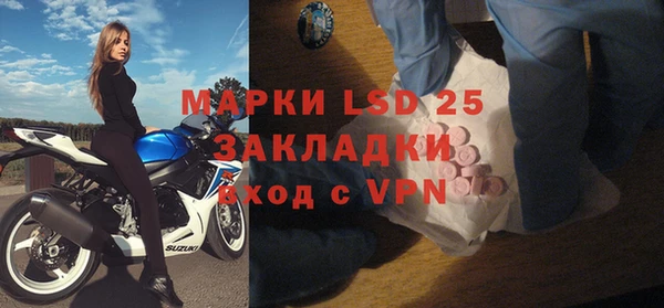твердый Богданович