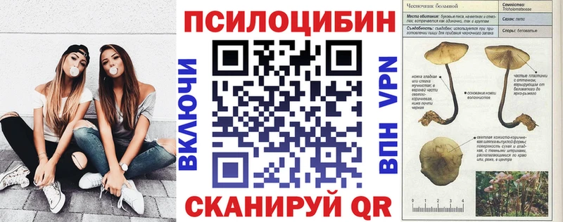 Псилоцибиновые грибы Psilocybe  МЕГА   Городище 